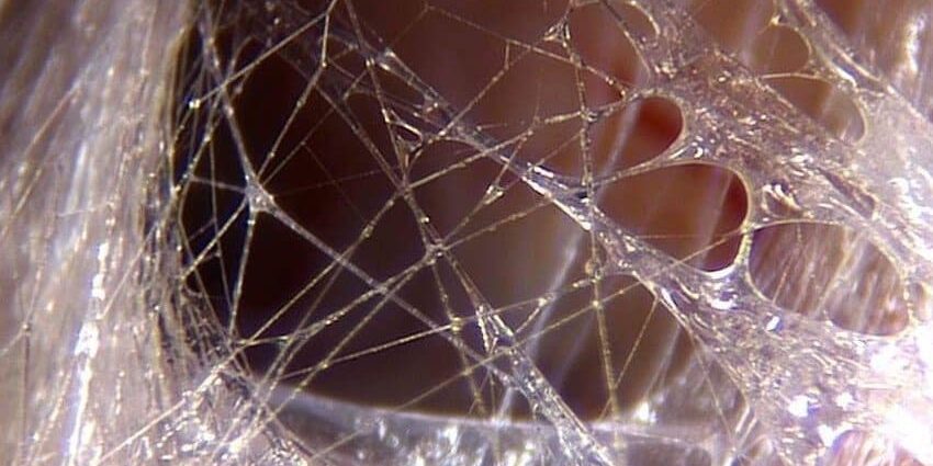 fascia photo 850x425